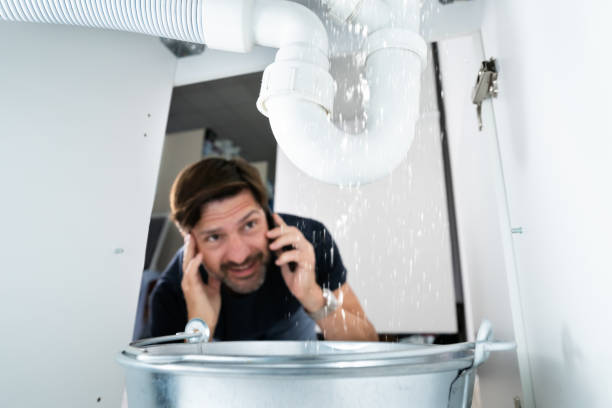 Best 24-Hour Plumber Near Me  in Helemano, HI